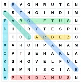 Word Search puzzle grid filled with random letters. Coloured highlights mark words found horizontally, vertically or diagonally.